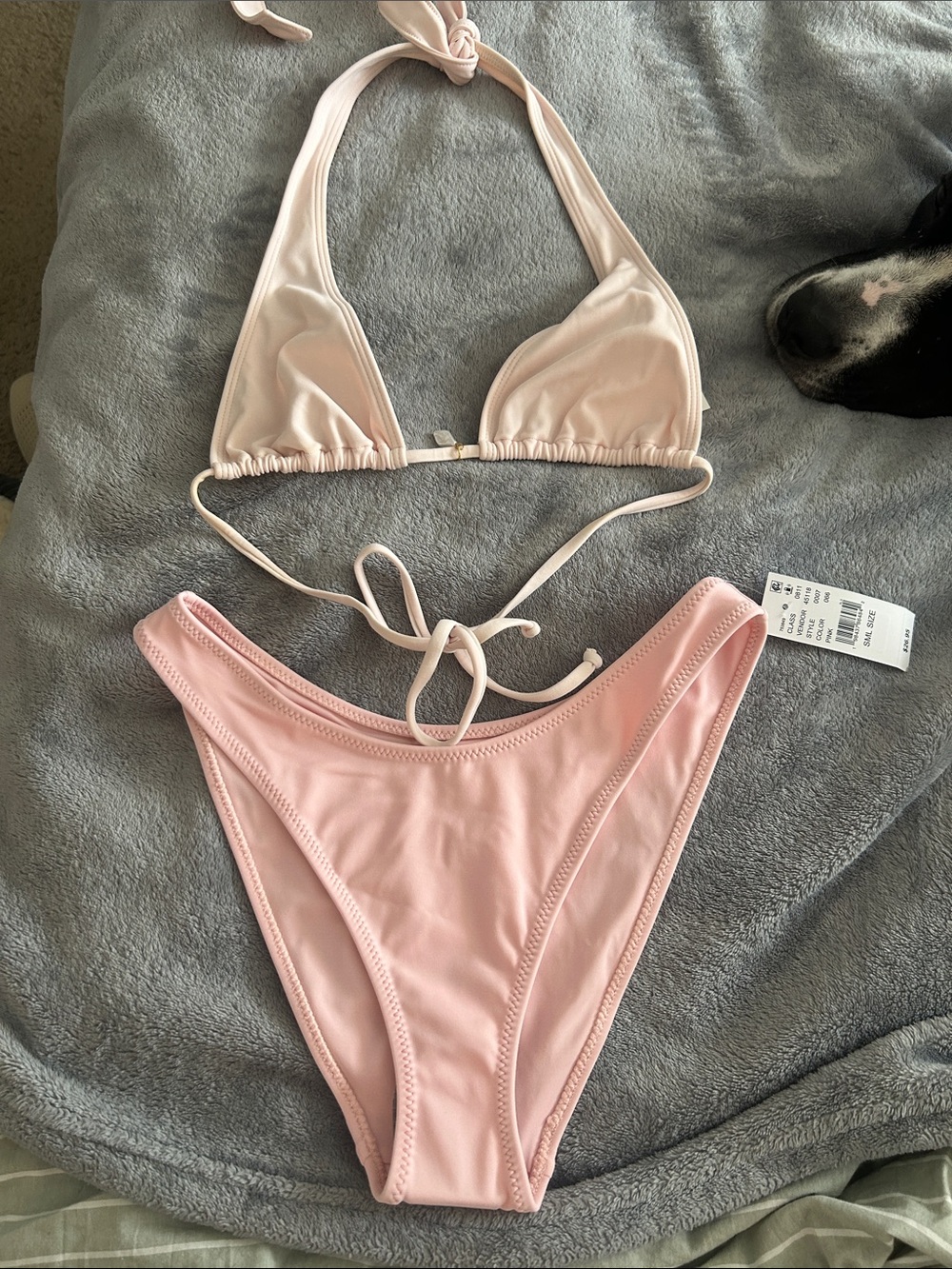 Pacsun Light Pink Bikini